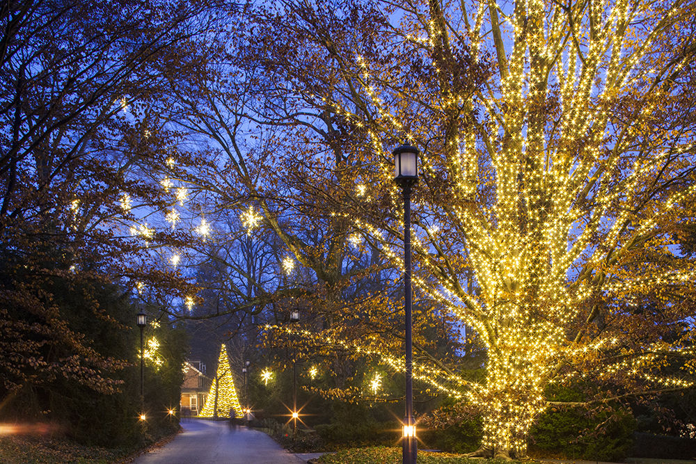 Longwood at night 2
